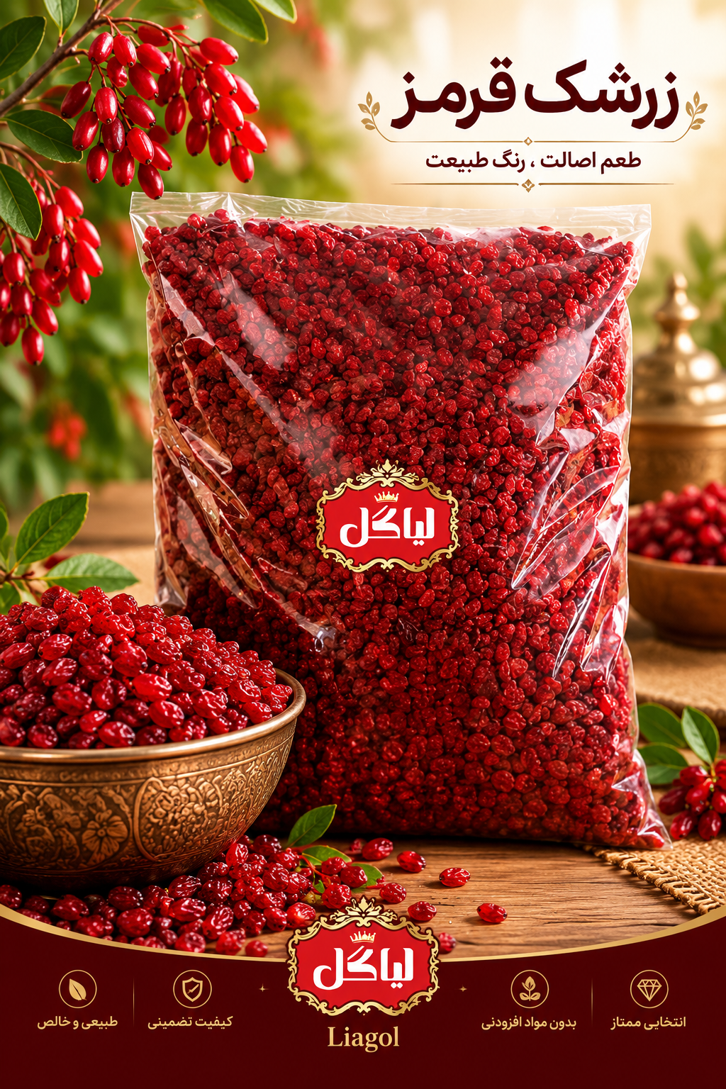 زرشک قرمز و زرشک سیاه؛ خواص، کاربردها، تفاوت‌ها، روش نگهداری و بهترین مناطق تولید