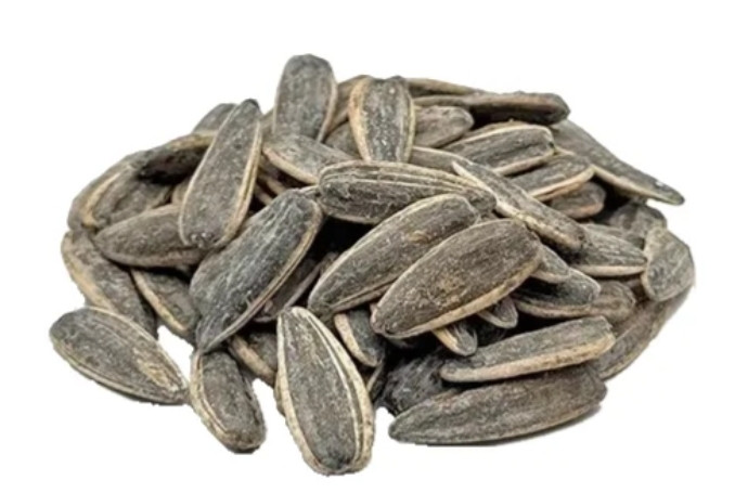 تخمه کانادایی شور