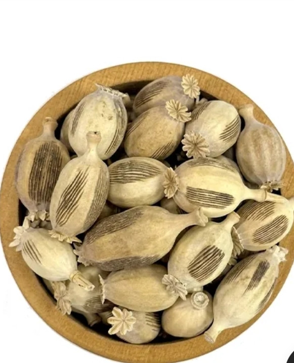 غوزه خشخاش